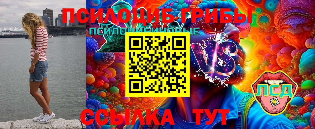 Псилоцибиновые грибы GOLDEN TEACHER Удомля